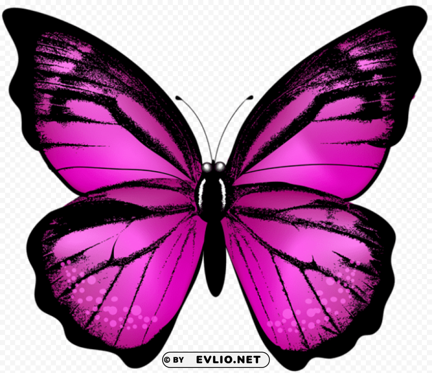 Pink Butterfly Isolated Item On Transparent PNG