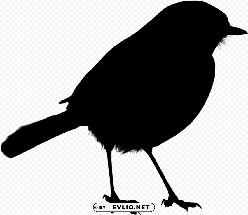 Bird PNG Object Isolated With Transparency