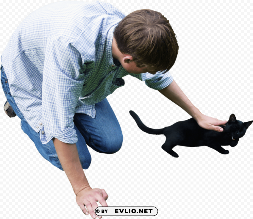 cat Transparent Background PNG Object Isolation