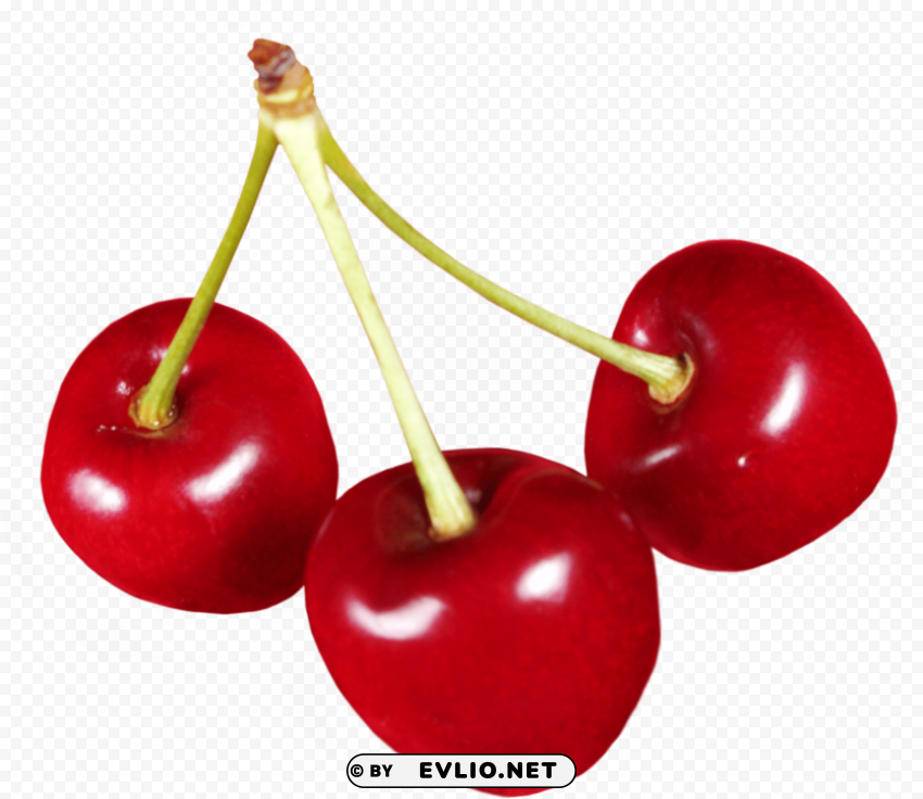 cherry Transparent PNG graphics assortment