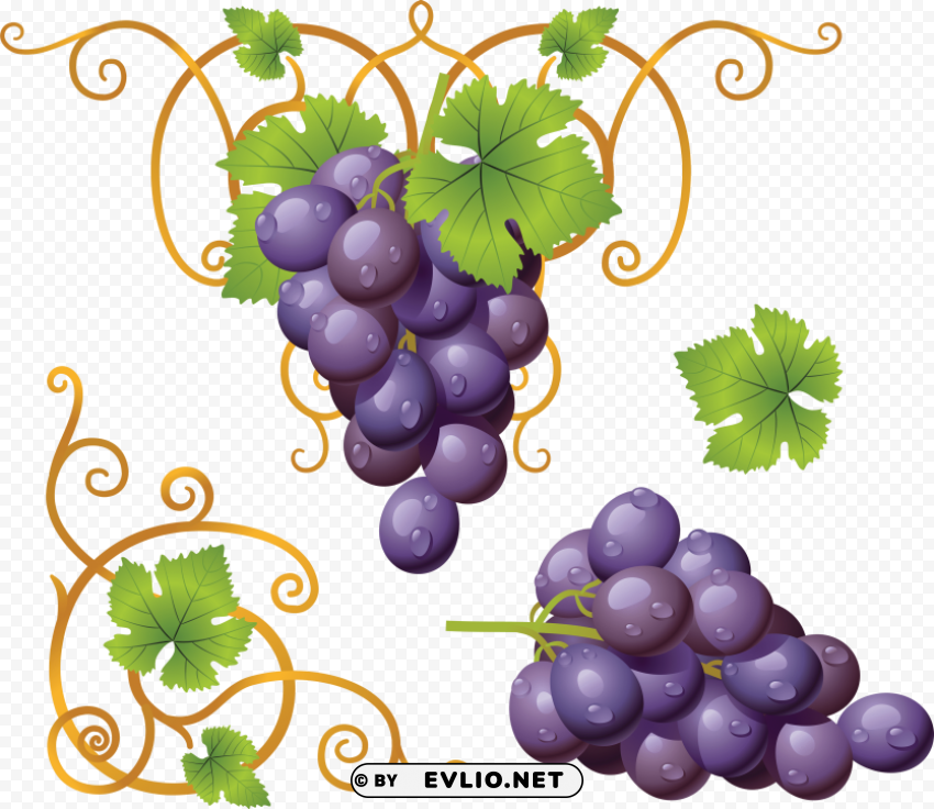 grape Clean Background Isolated PNG Image