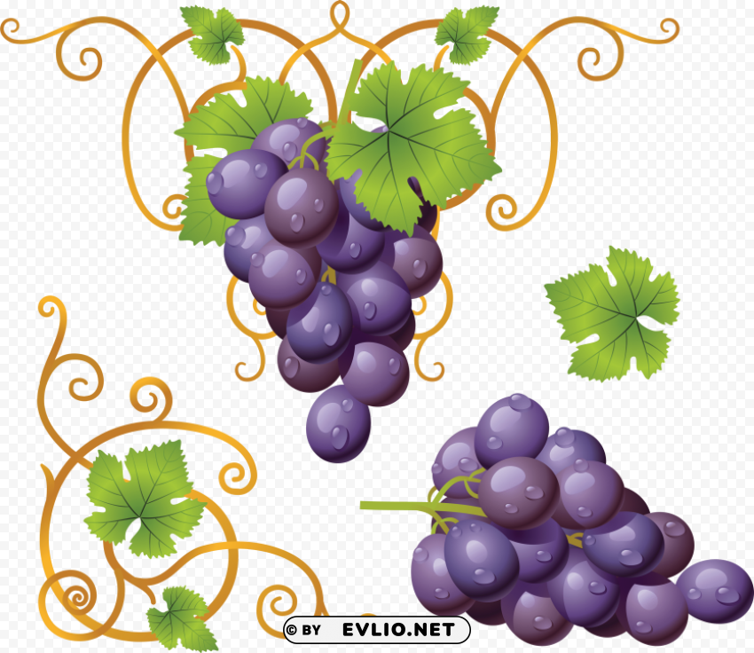 Grape Clean Background Isolated PNG Image