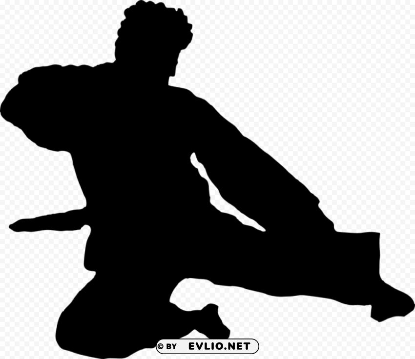 karate silhouette PNG images with no background needed