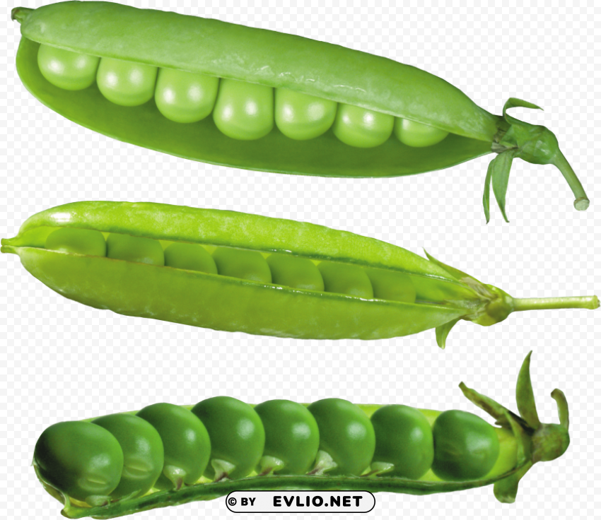 pea High-resolution transparent PNG images