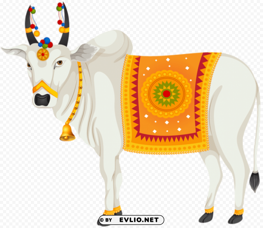 india holy cow Free PNG images with transparent layers compilation
