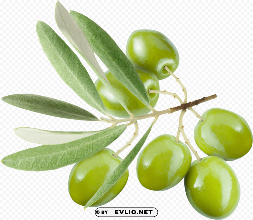 olives PNG Image with Isolated Graphic Element