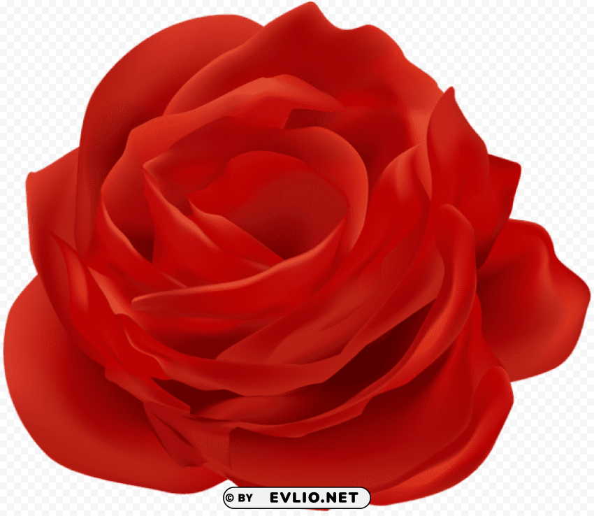 Red Rose Flower Transparent PNG Images Pack