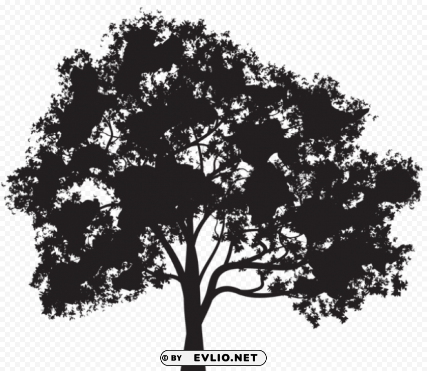 tree silhouette PNG for educational use
