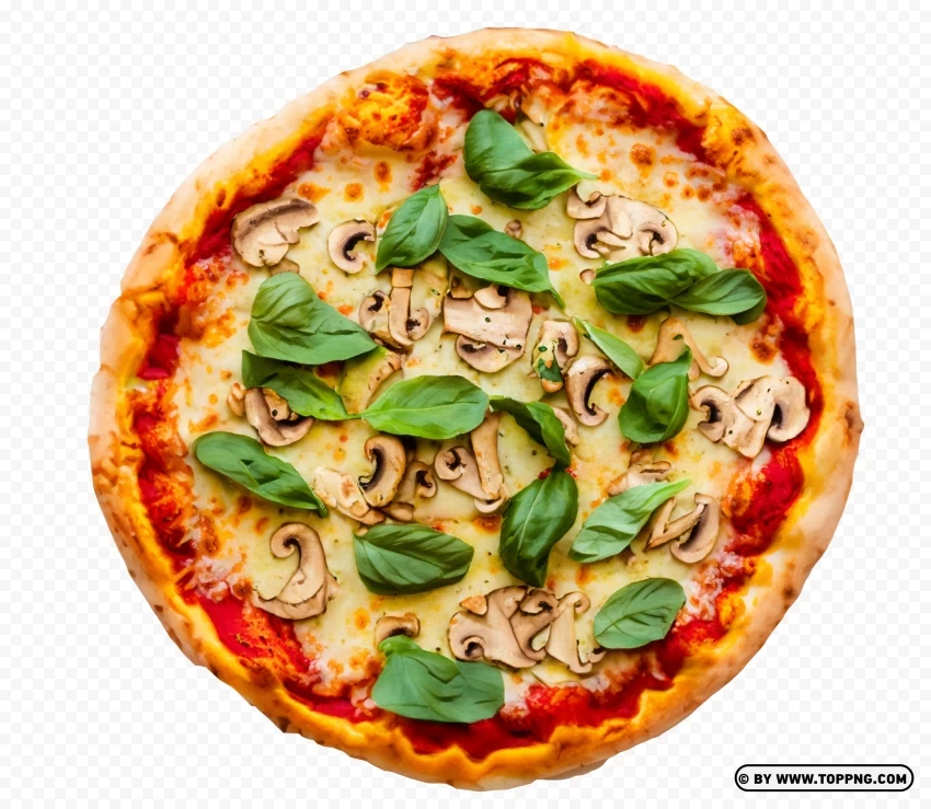 Hot Italian Food Rustic Vegetarian Pizza Isolated Subject In Clear Transparent PNG