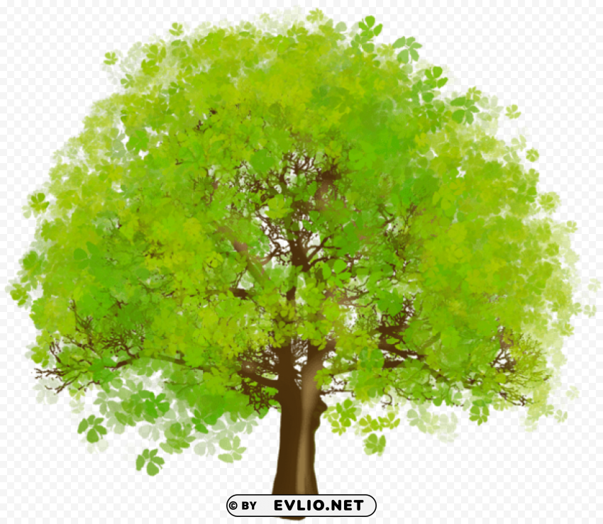 Large Green Tree PNG Clipart