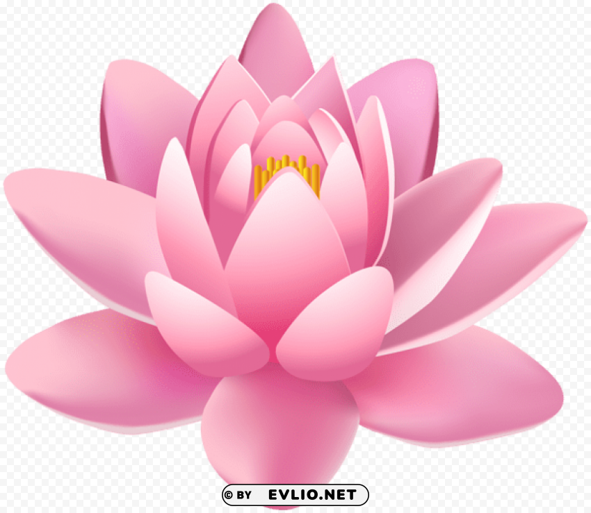 pink lily flower PNG Image with Transparent Background Isolation