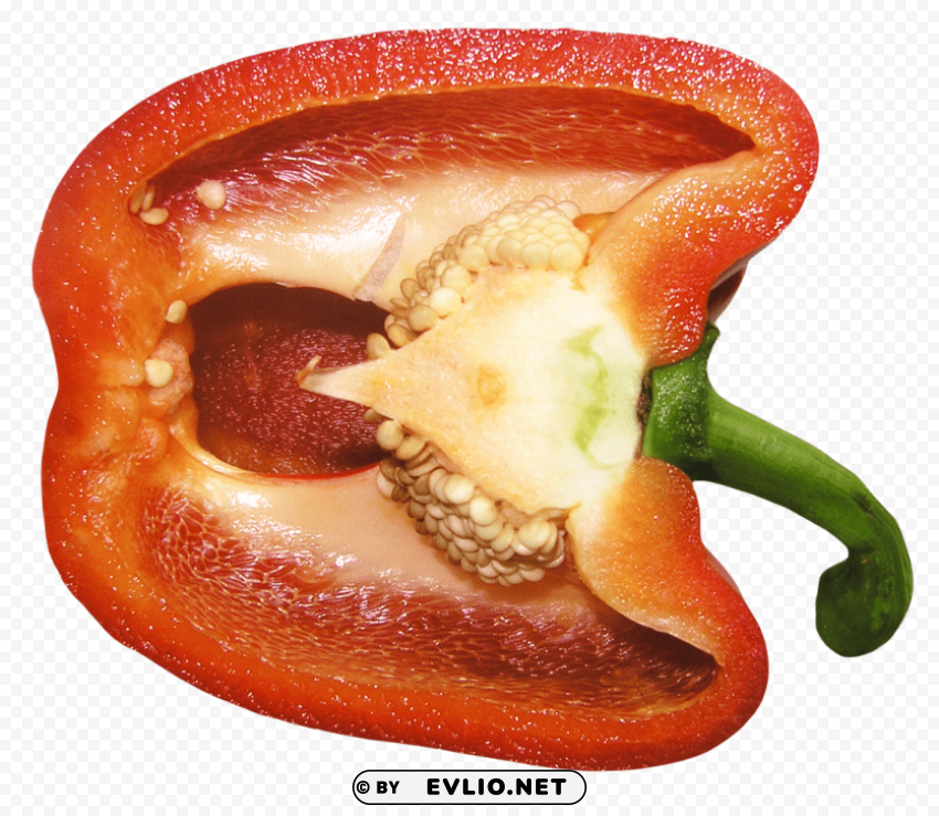 Red Sweet Pepper HighQuality Transparent PNG Object Isolation