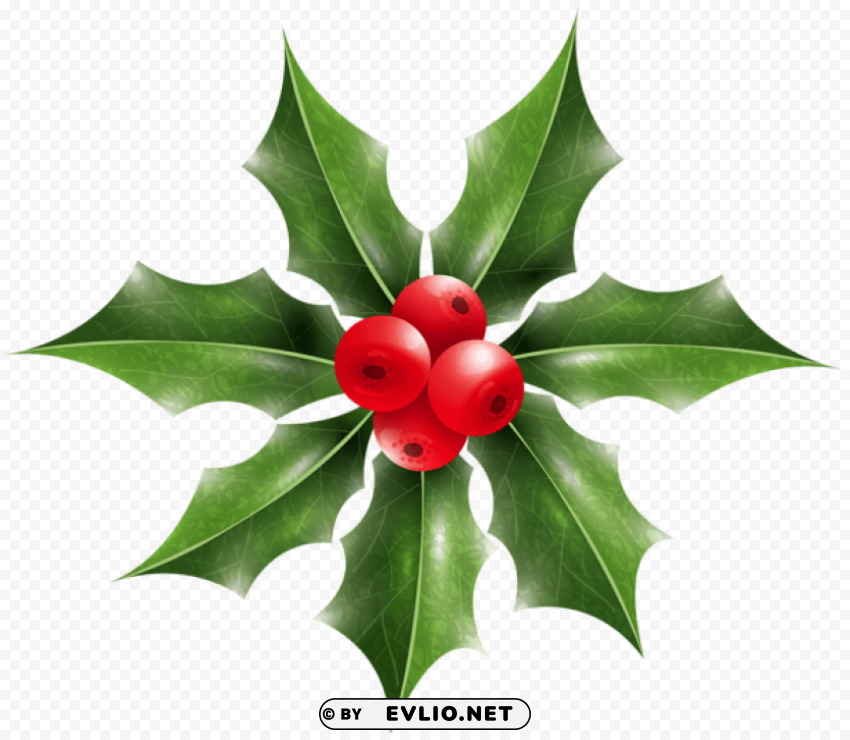 christmas holly mistletoe Transparent PNG Graphic with Isolated Object
