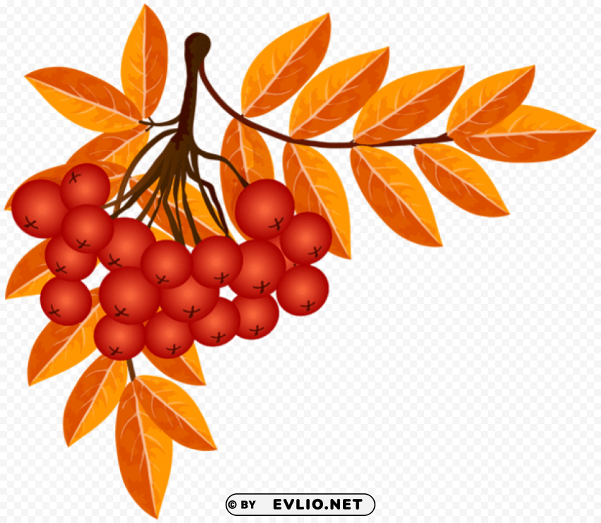 fall decoration Clear Background Isolated PNG Illustration