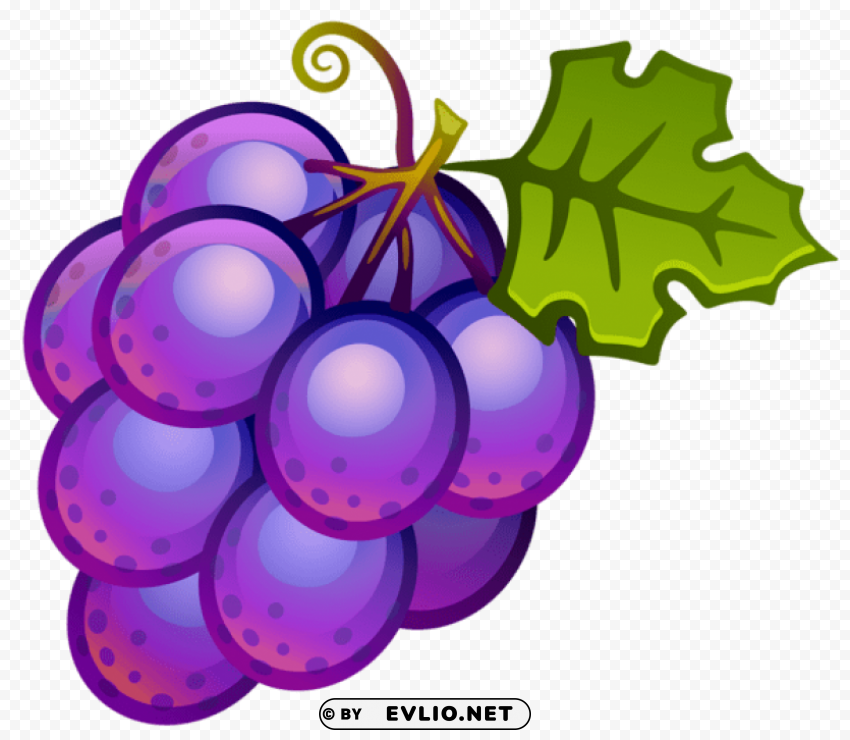 large painted grapes PNG images with transparent canvas