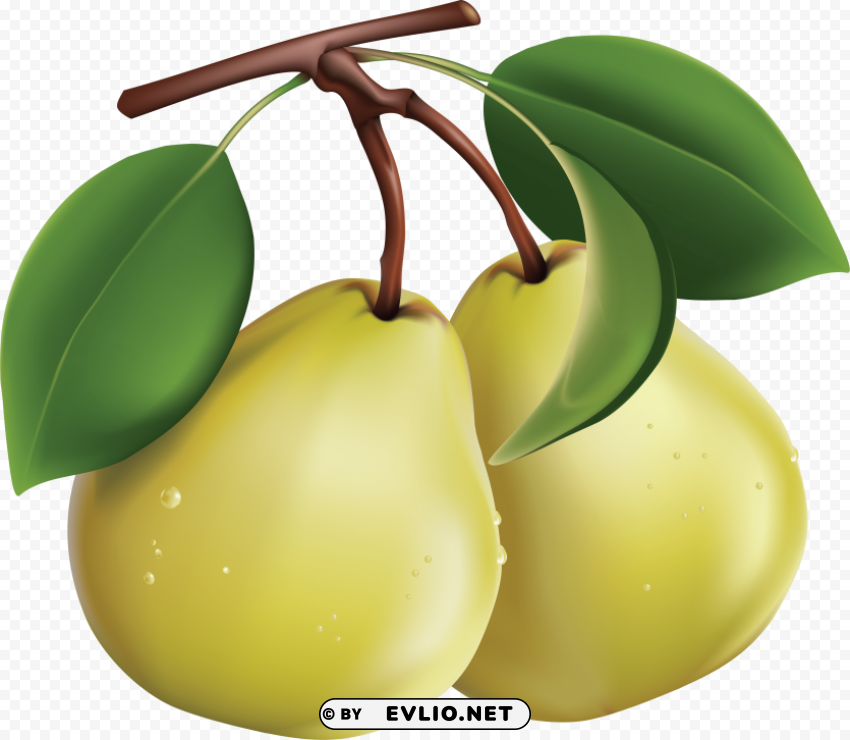 pear Isolated Item on HighResolution Transparent PNG
