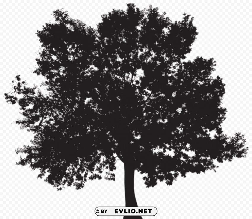 tree silhouette PNG free transparent