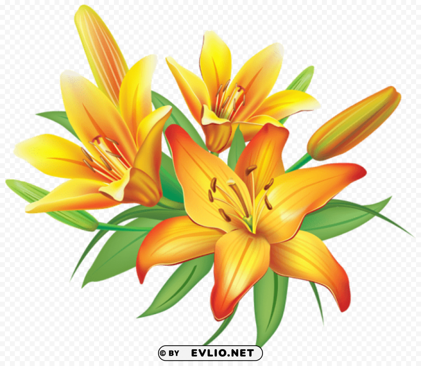 yellow lilies flowers decoration Transparent PNG Illustration with Isolation