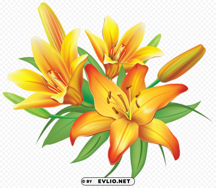 PNG image of yellow lilies flowers decoration Transparent PNG Illustration with Isolation with a clear background - Image ID 2cb58988