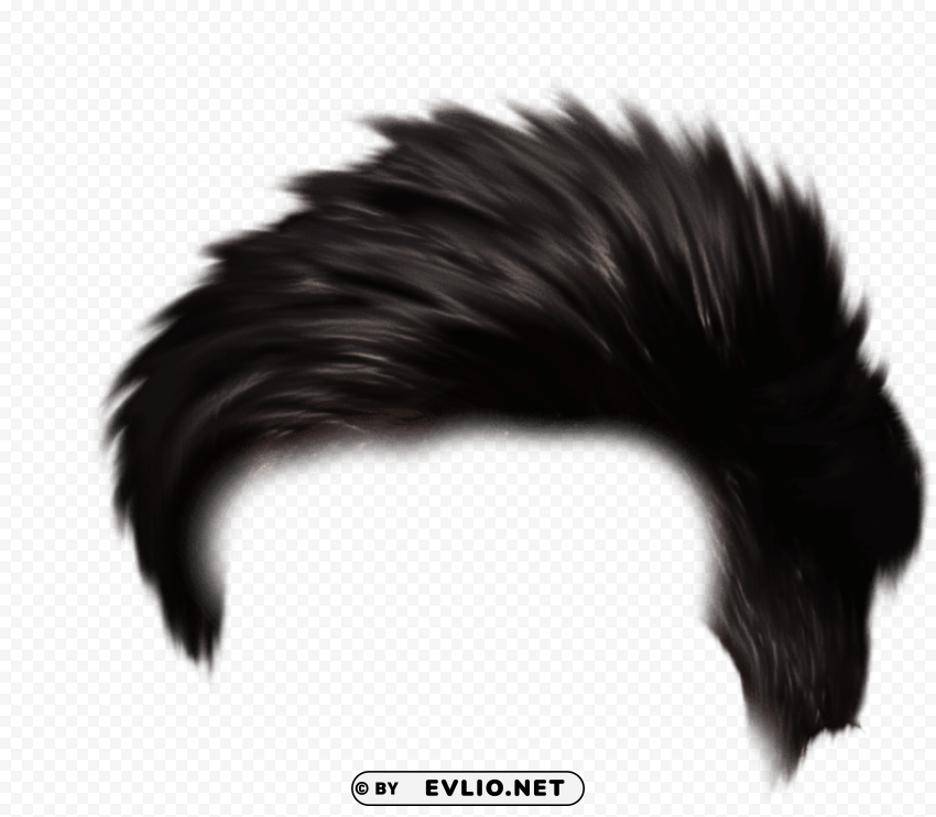 hair Clear PNG photos PNG transparent with Clear Background ID 037b87f9