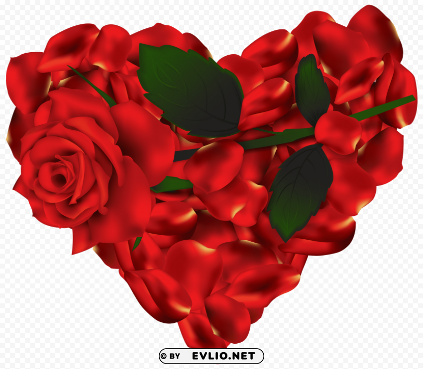 heart of roses Free PNG images with alpha transparency compilation