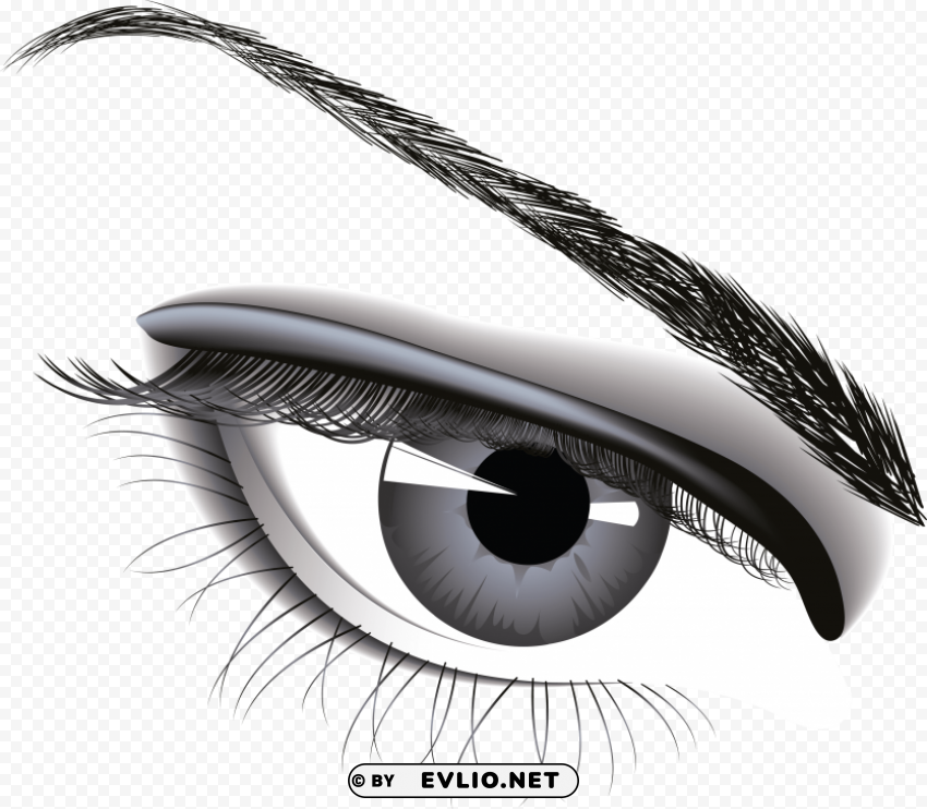 poster on donate eyes Isolated Graphic on Transparent PNG