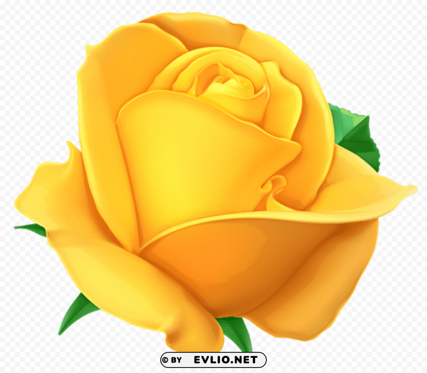 transparent yellow rosepicture Isolated Graphic on Clear PNG