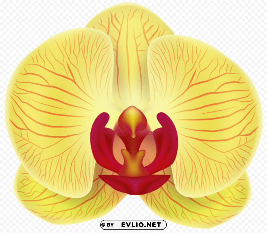 PNG image of yellow orchid PNG transparent design diverse assortment with a clear background - Image ID be5d4272