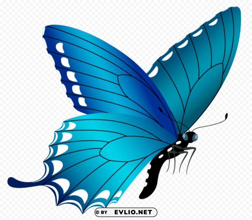 Blue Butterfly Isolated Graphic On Transparent PNG