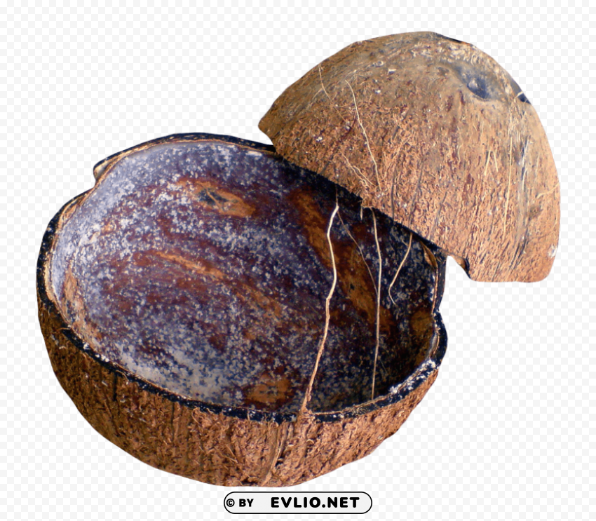 coconut shell Transparent PNG pictures archive