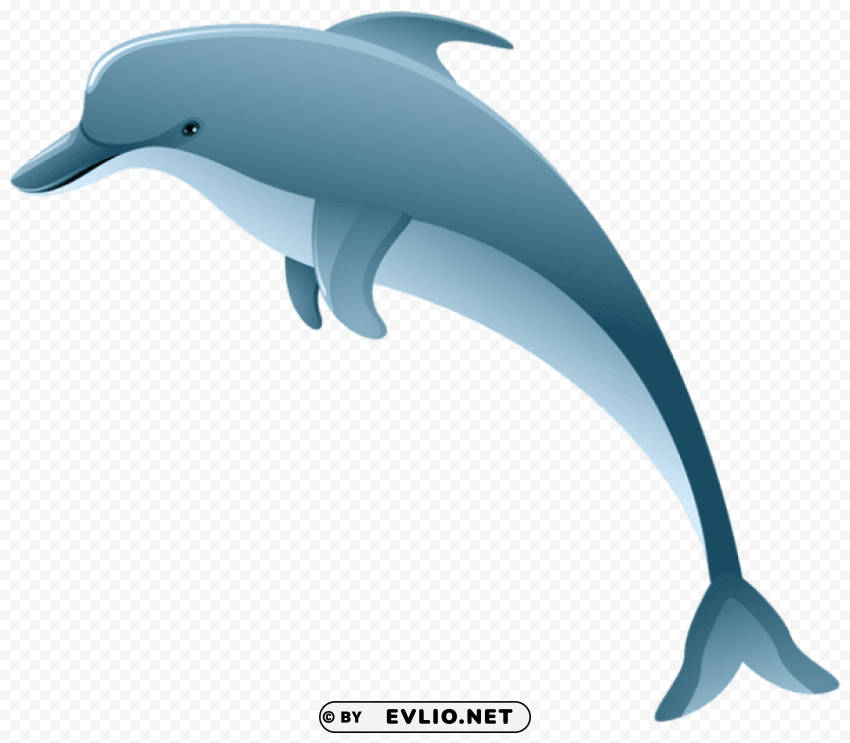 dolphin Isolated Graphic in Transparent PNG Format