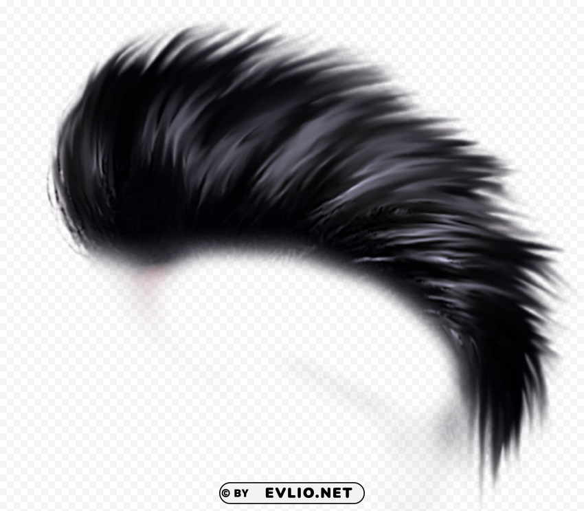 hair Free PNG transparent images png - Free PNG Images ID 1107214c