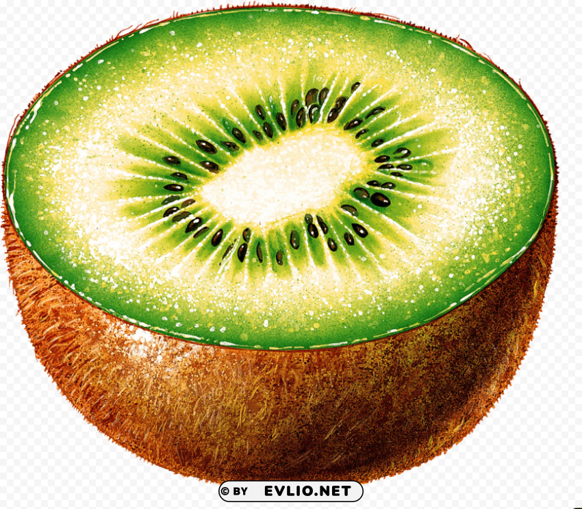 kiwi Isolated Graphic on Clear Transparent PNG PNG images with transparent backgrounds - Image ID e224f356