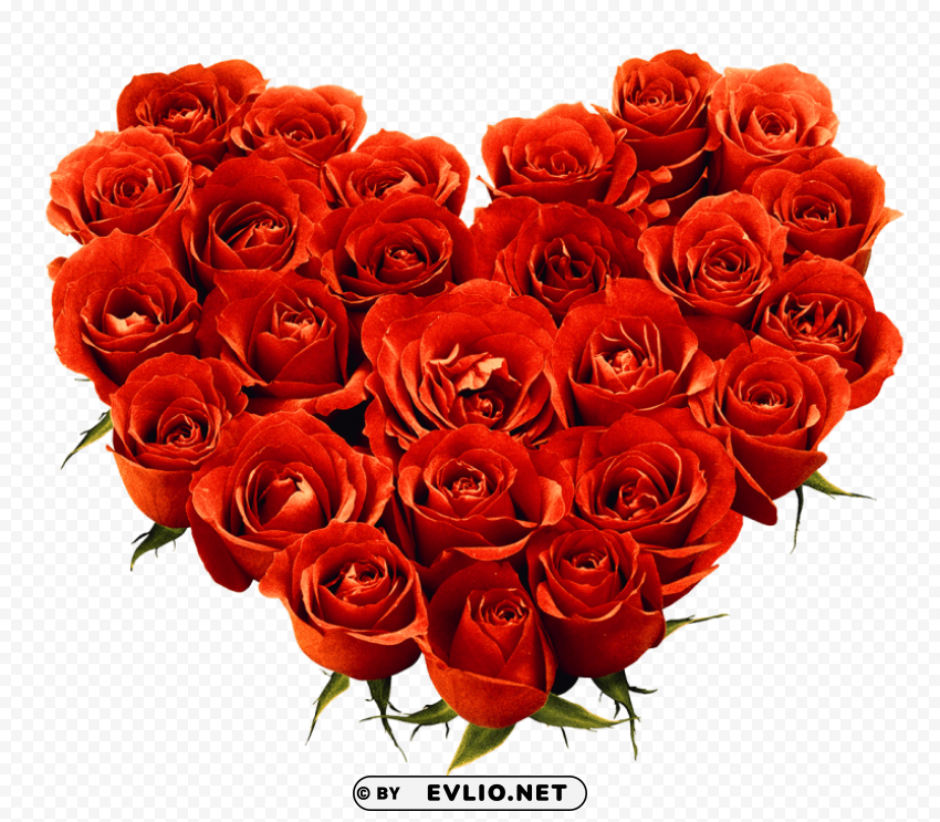 PNG image of red rose HighQuality PNG Isolated on Transparent Background with a clear background - Image ID 33f1573a