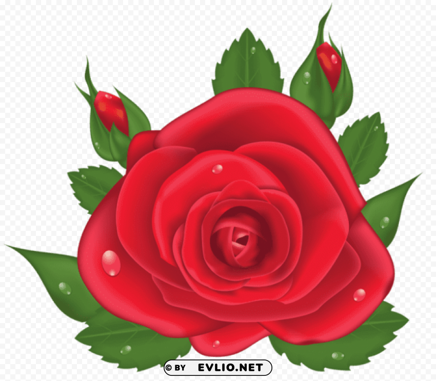 red rose Isolated Artwork in HighResolution PNG