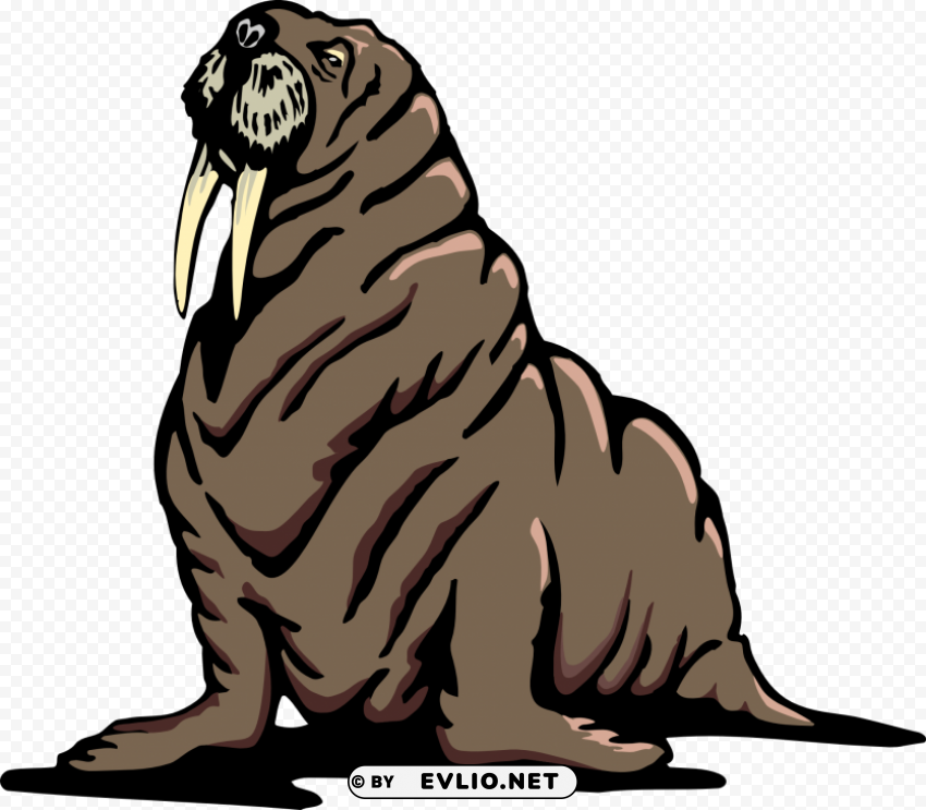 walrus ClearCut Background Isolated PNG Art