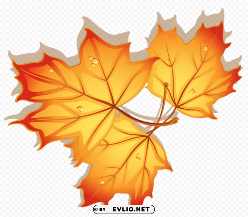 autumn leaves High-resolution transparent PNG files