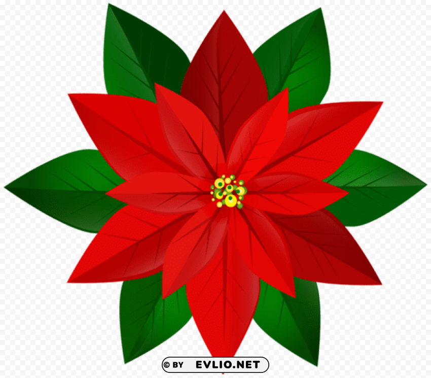 christmas red poinsettia Transparent art PNG