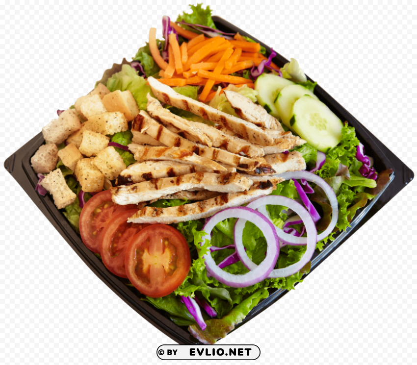 habit burger salad PNG transparent graphics for download PNG images with transparent backgrounds - Image ID eeff1ac3