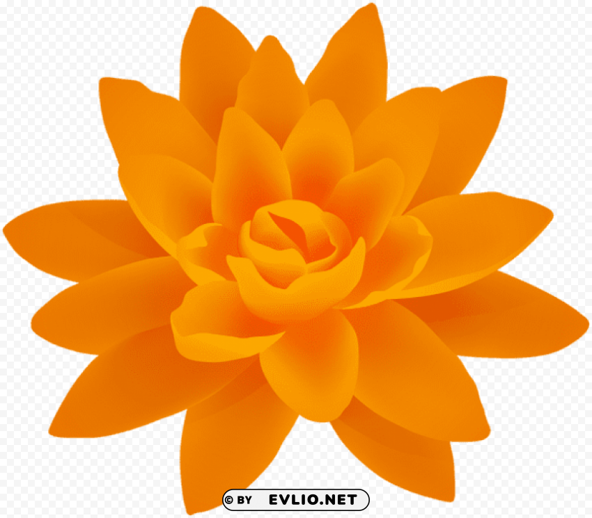 orange flower deco PNG Isolated Illustration with Clarity