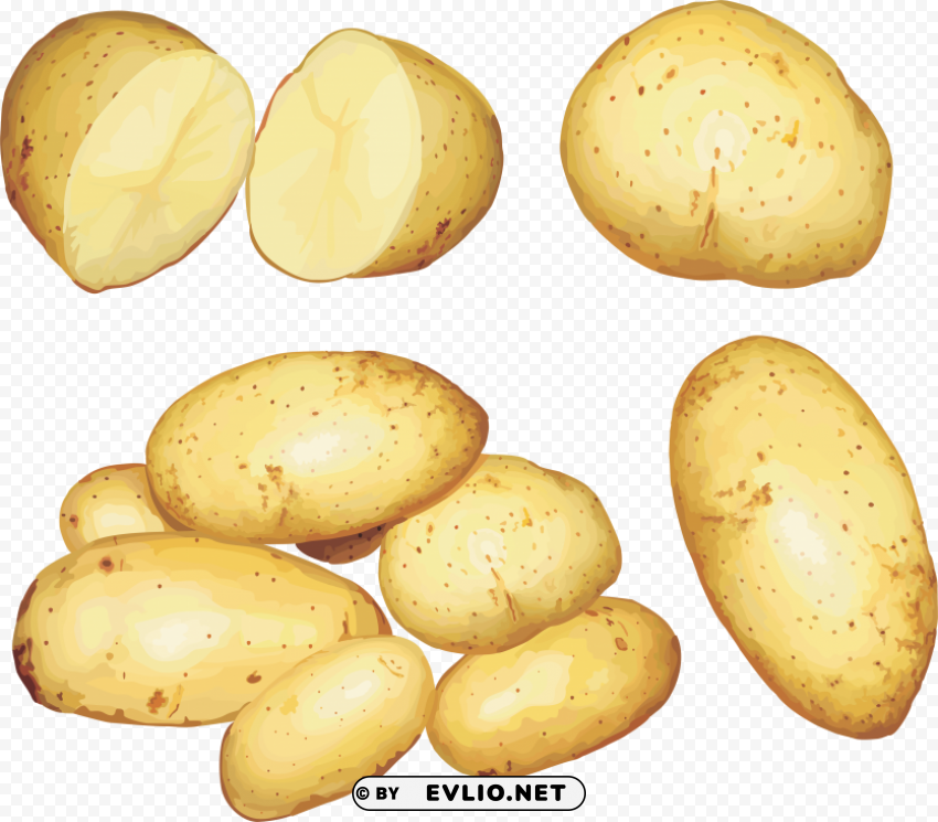 potato Transparent Background Isolated PNG Figure