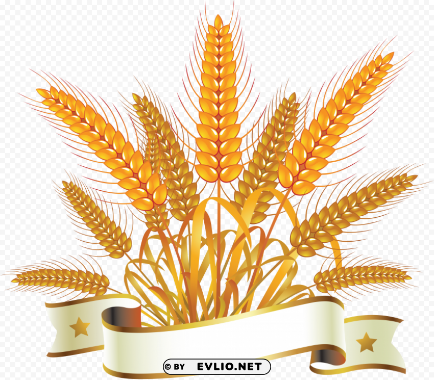 Wheat PNG high quality