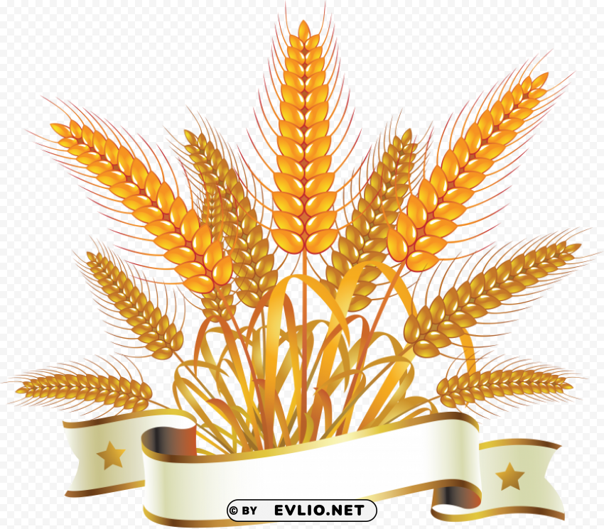 Wheat PNG Image with Transparent Isolated Graphic Element