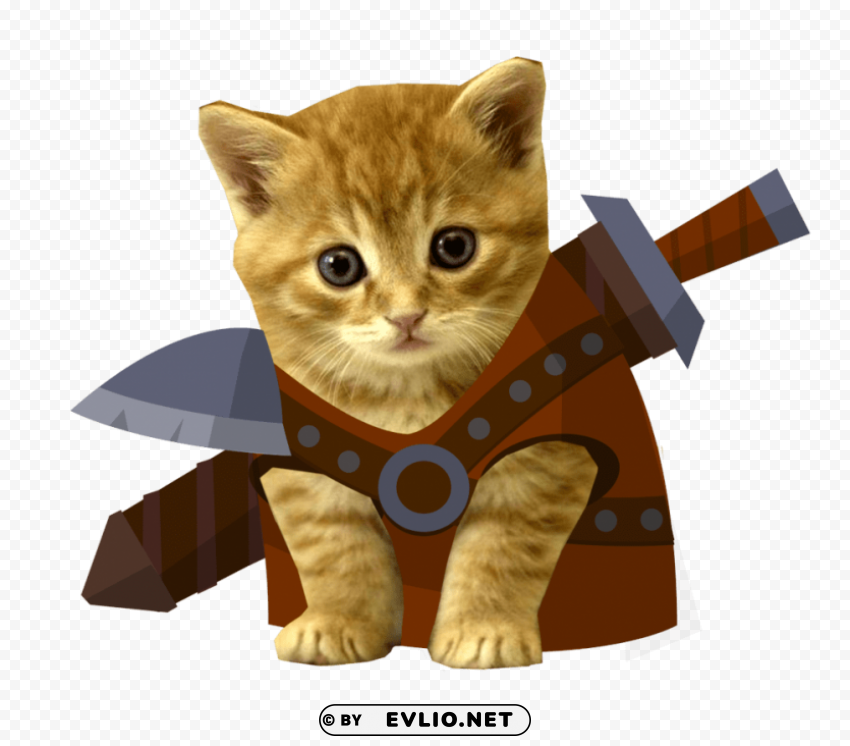 cute kittens s Isolated Character in Clear Transparent PNG