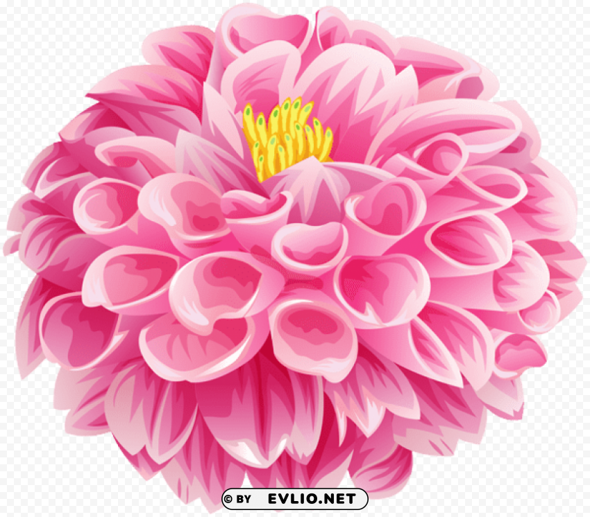 pink dahlia flower PNG with Isolated Transparency