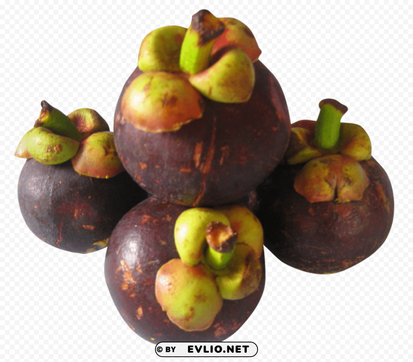 Purple Mangosteen Isolated PNG on Transparent Background