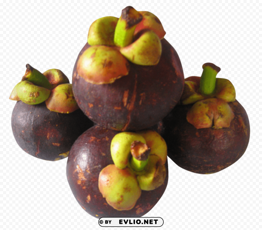 Purple Mangosteen Isolated PNG on Transparent Background png - Free PNG Images ID 862b28f9