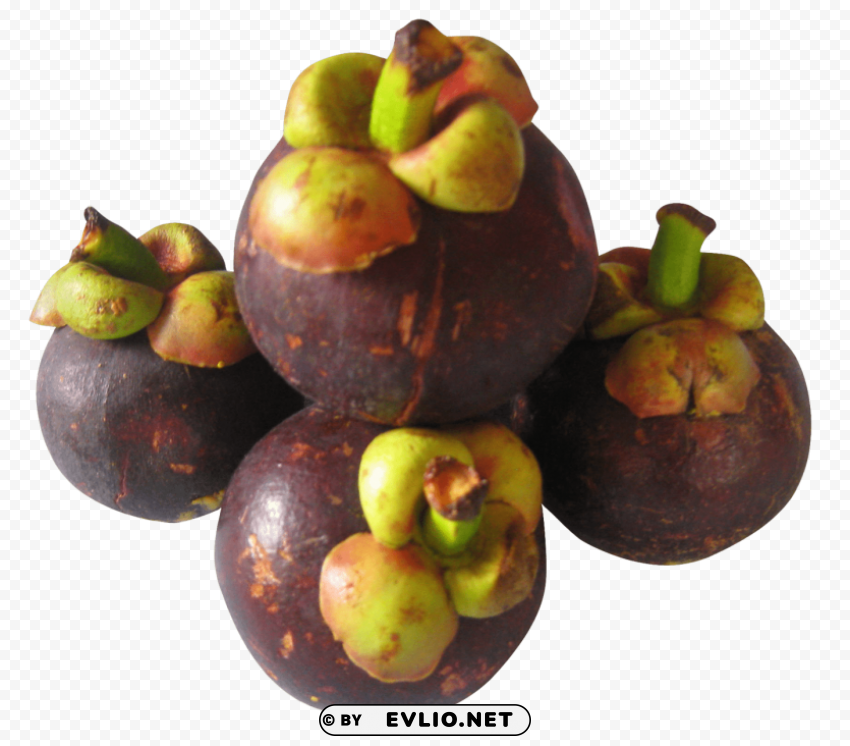 purple mangosteen PNG photo with transparency