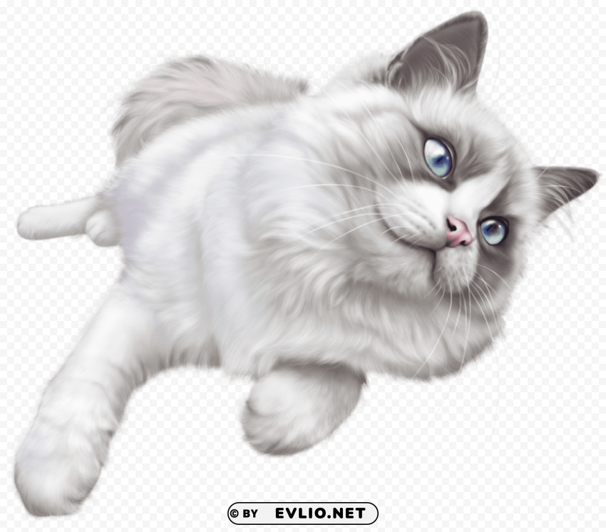 white cat PNG Image with Transparent Isolated Graphic clipart png photo - 2dc8e9ca