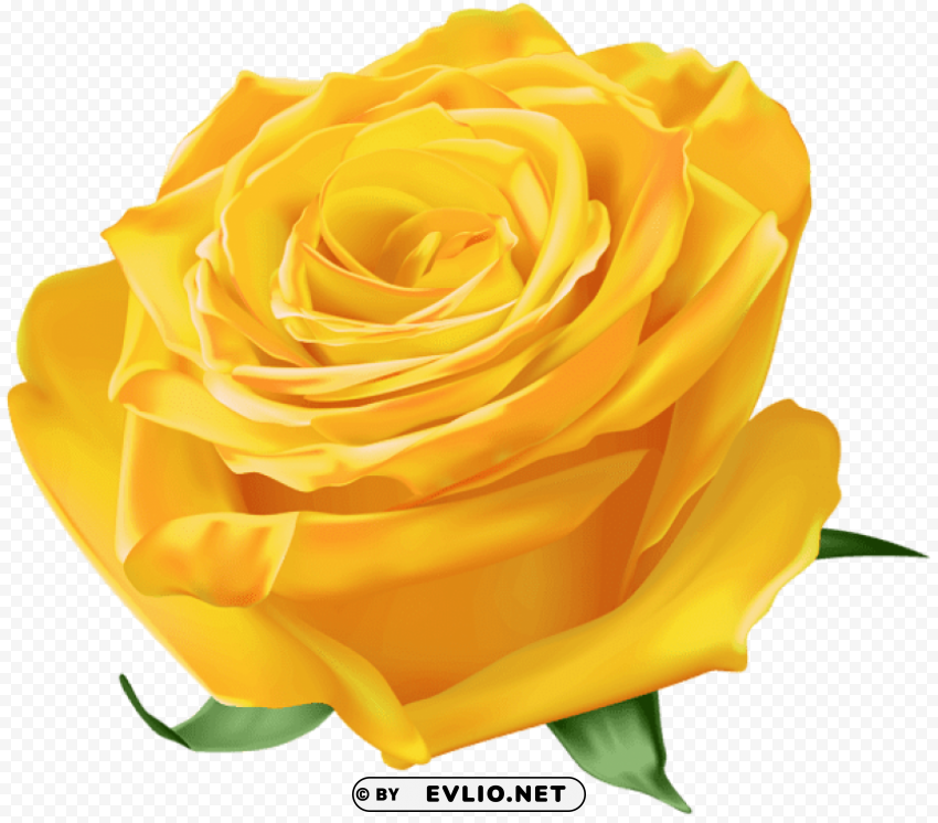 PNG image of yellow rose Transparent Background PNG Isolated Pattern with a clear background - Image ID f9759c91